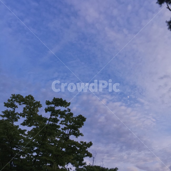 하늘,달,야경,저녁,구름,자연,풍경,nature,landscape,outdoors,옥외