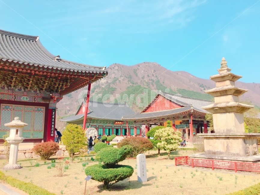 청도,운문사,풍경,봄,절,한국전통,한국문화,korean traditional,korean culture,종교,신앙,religion,belief,faith