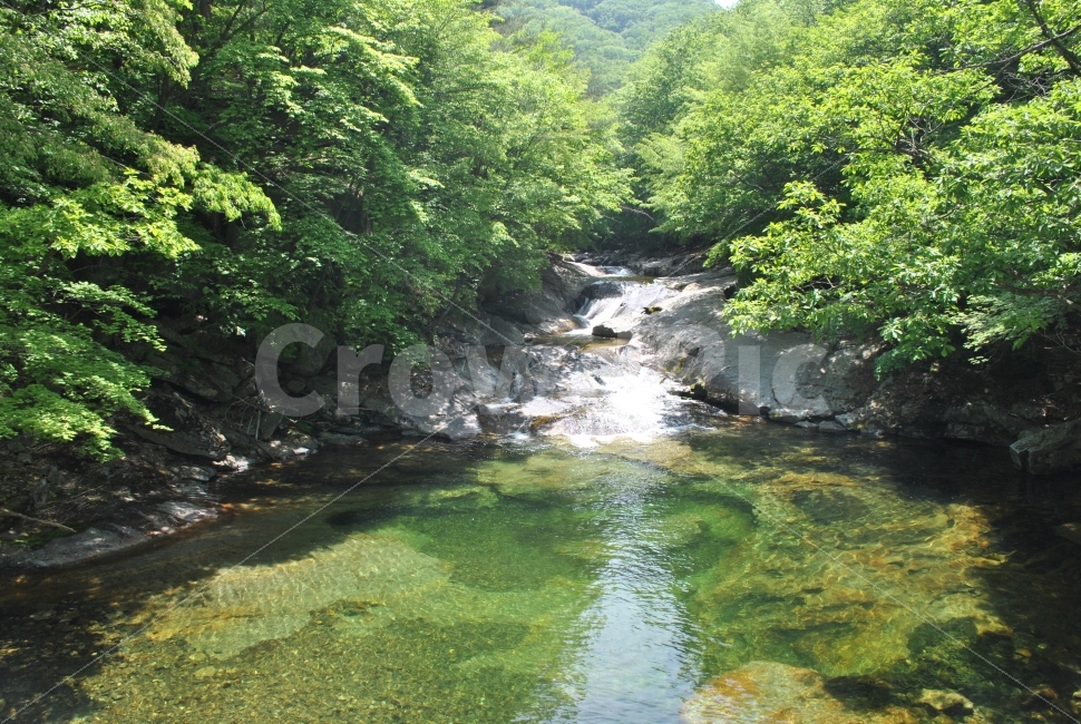 산,계곡,여름,나무,물,초록색,시원함,잔잔함,자연,풍경,nature,landscape,여름,계절,summer,season,water,outdoors,옥외,creek,작은 만,stream,흐름