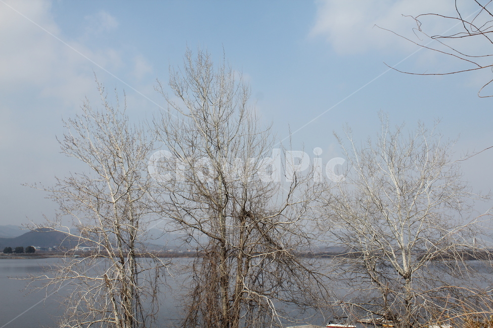 풍경,경치,호수,겨울호수,물,하늘,자연,겨울,계절,winter,season,자연,풍경,nature,landscape,식물,plants,나무,trees,wood