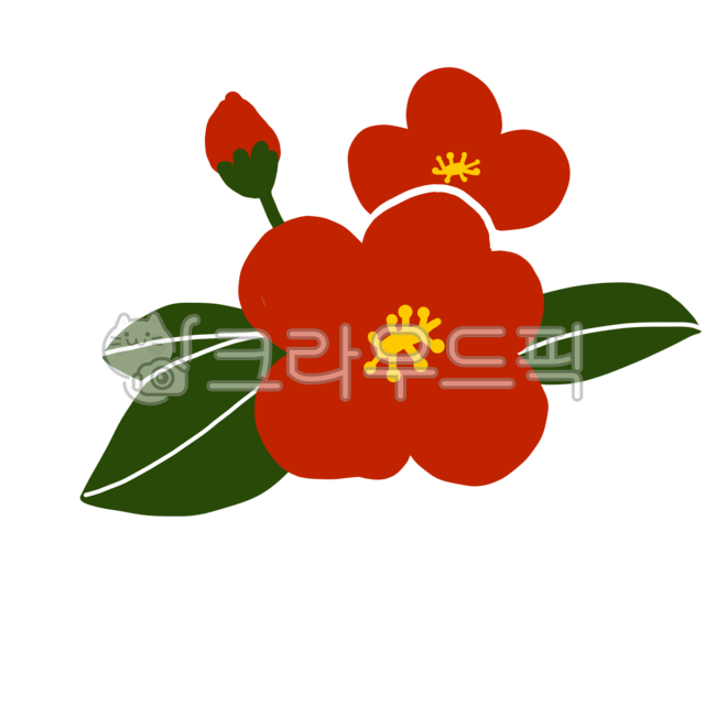 제주도, 제주도일러스트, 동백꽃, 동백꽃일러스트, 식물, 사진,이미지,일러스트,캘리그라피 - 청파동젊은이작가 제주도, 제주도일러스트, 동백꽃, 동백꽃일러스트, 식물, 사진,이미지,일러스트,캘리그라피 - 청파동젊은이작가