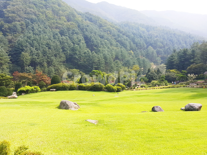 자연,돌,잔디,산,나무