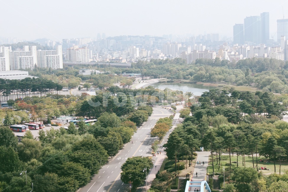 나무,산책,올림픽공원,도로,아파트,도시,풍경,city,landscape,한국도시풍경,한국도시경관,korea cityscape,outdoors,옥외,경치,nature,자연,scenery,aerial view,조감도,road