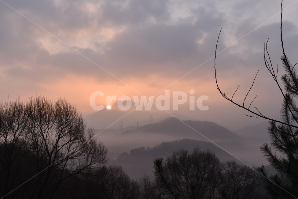 nature,outdoors,옥외,자연,weather,날씨,새해,일출,안개,나무,구름,1월1일