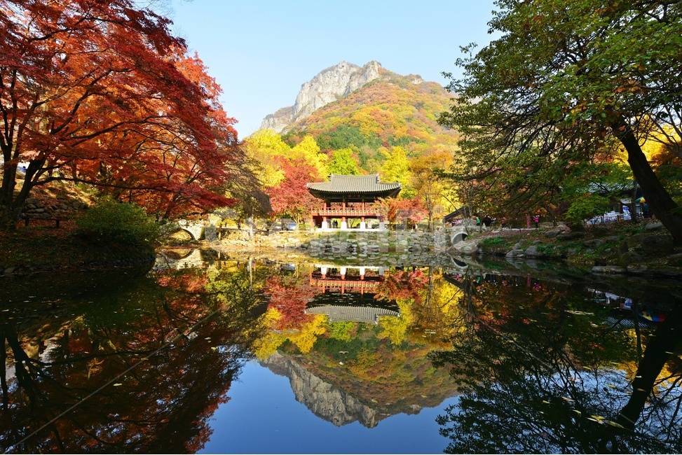 building,건물,architecture,건축물,water,물,outdoors,옥외,nature,자연,tree,나무,plant,식물,maple,단풍,leaf,잎,장성,백양사,백양사추색,가을,계절,추색,만추,단풍잎,반영,쌍계루,백학봉