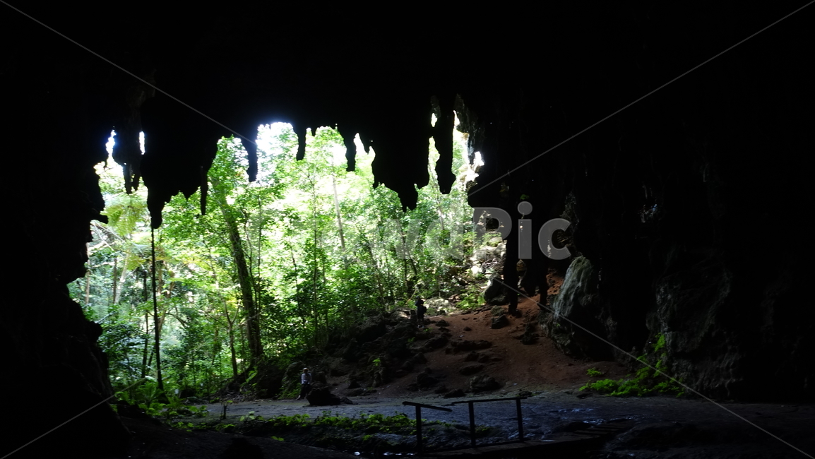 자연,nature,cave,grotto,동굴,초록,green,오르텐스,오르텐스동굴,뉴칼레도니아