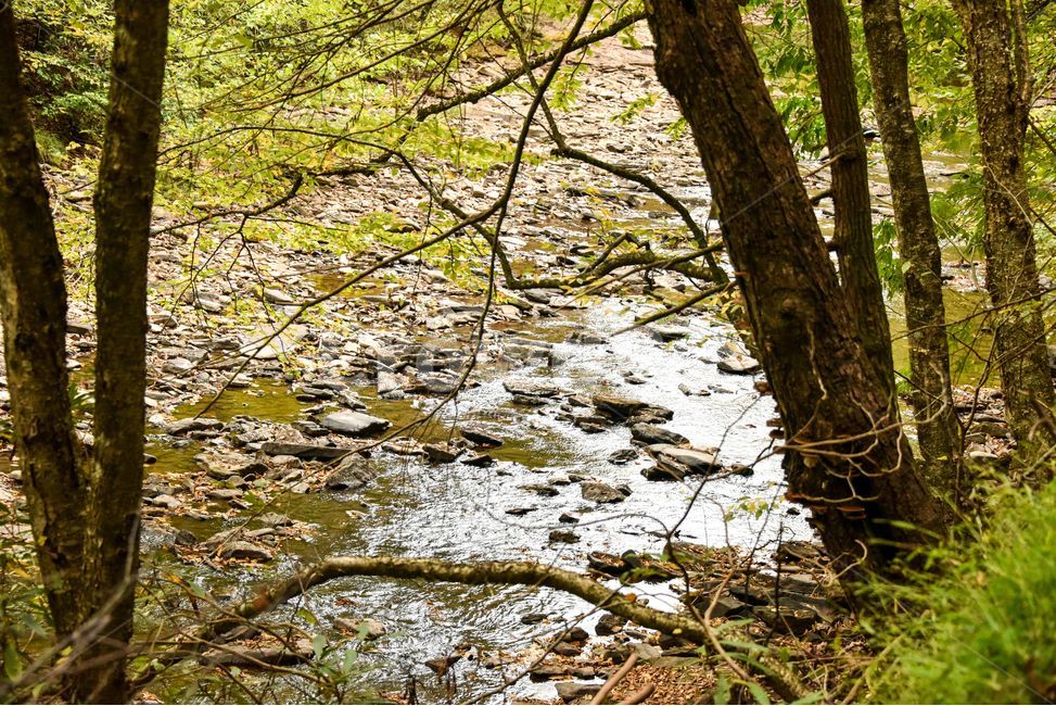 자연,물,나무,야외,평온,자연,풍경,nature,landscape