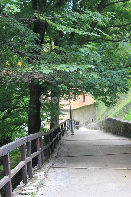 내리막길,자연풍경,나무,통로,길,나무난간,자연,풍경,nature,landscape,garden,정원,outdoors,옥외,arbour,정자