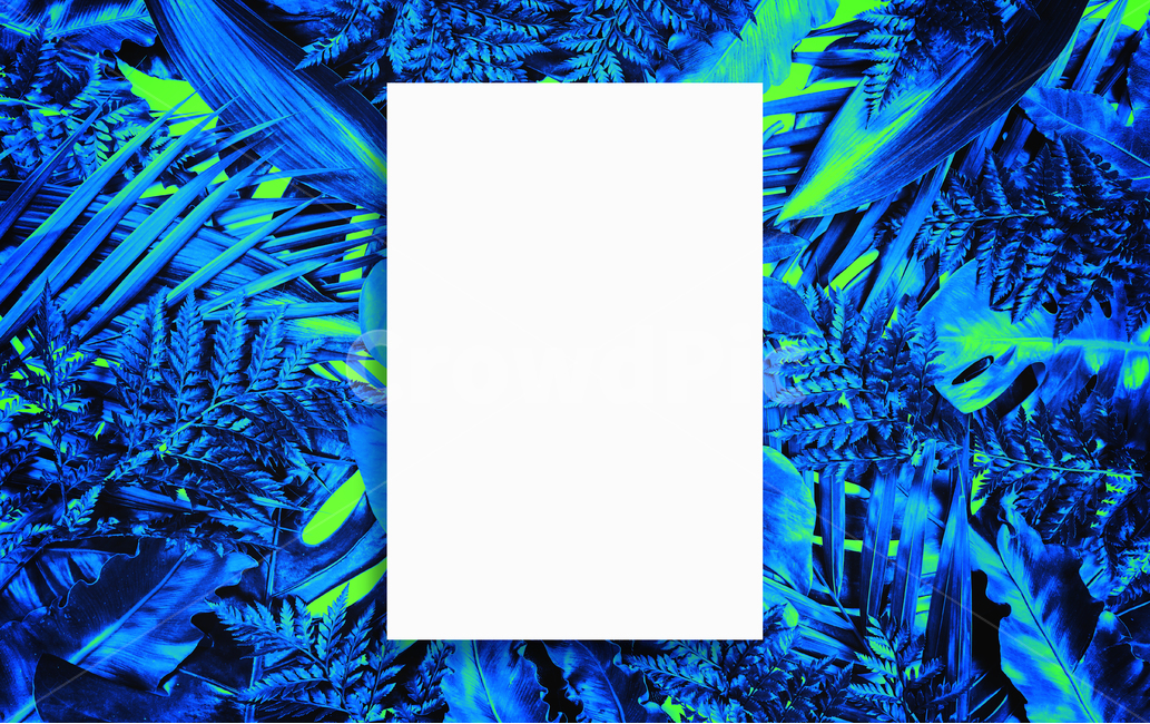 prepare,natural,neon,Botanical Frame,Botanical,leaf,summer,tropical,background image,palm tree,Neon,reversal,background,plant,tropical plants,jungle,colorful,frame