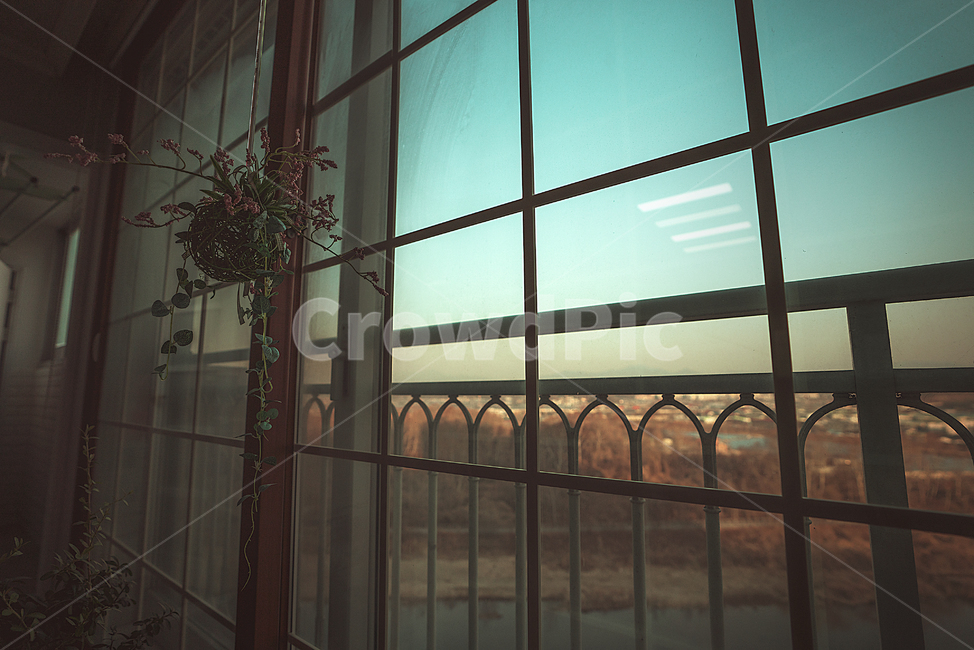 창,윈도우,창가,window,식물,화분,생명,식물,자연,plants,nature