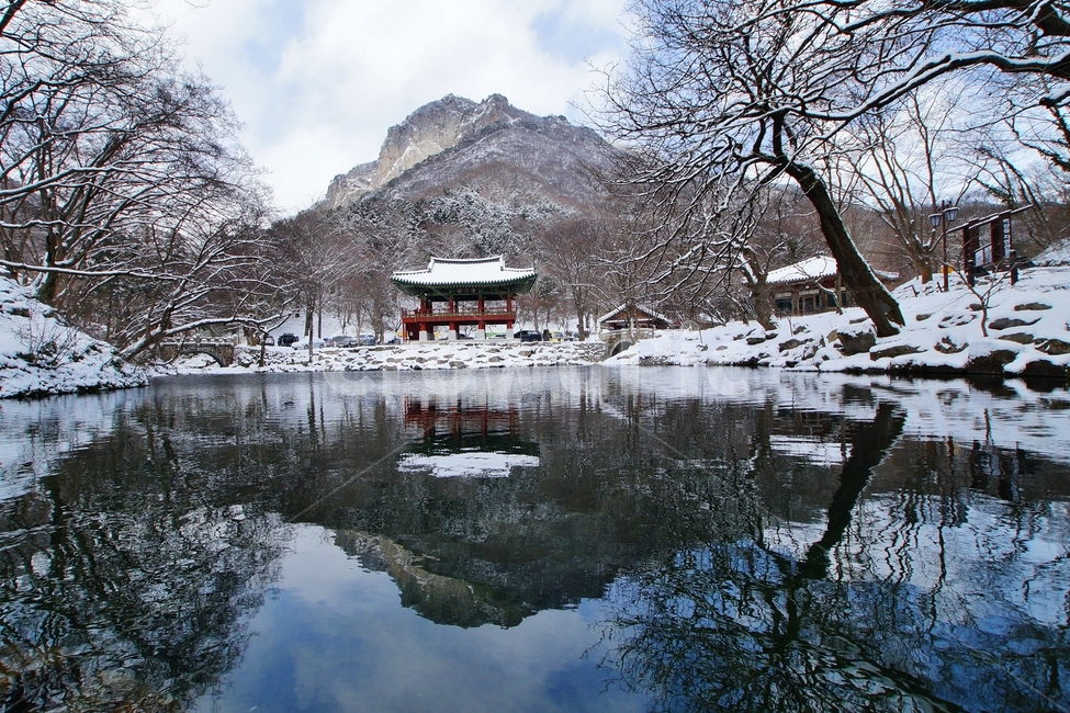 백양사,쌍계루,백학봉,설경,풍경,겨울,계절,winter,season,자연,풍경,nature,landscape,한국자연풍경,한국자연경관,korea nature landscape,한국전통,한국문화,korean traditional,korean culture