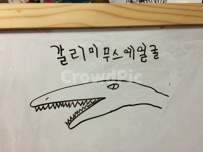공룡,그림,아이그림,아이글씨,칠판,동심,이빨,dinosaur,kiddrawing,drawing,kids,home