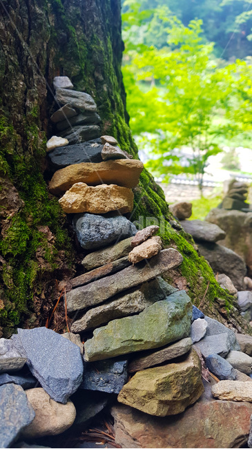 돌,자연,나무,숲,등산,돌탑,rock,nature,tree,mountain,풍경,낮