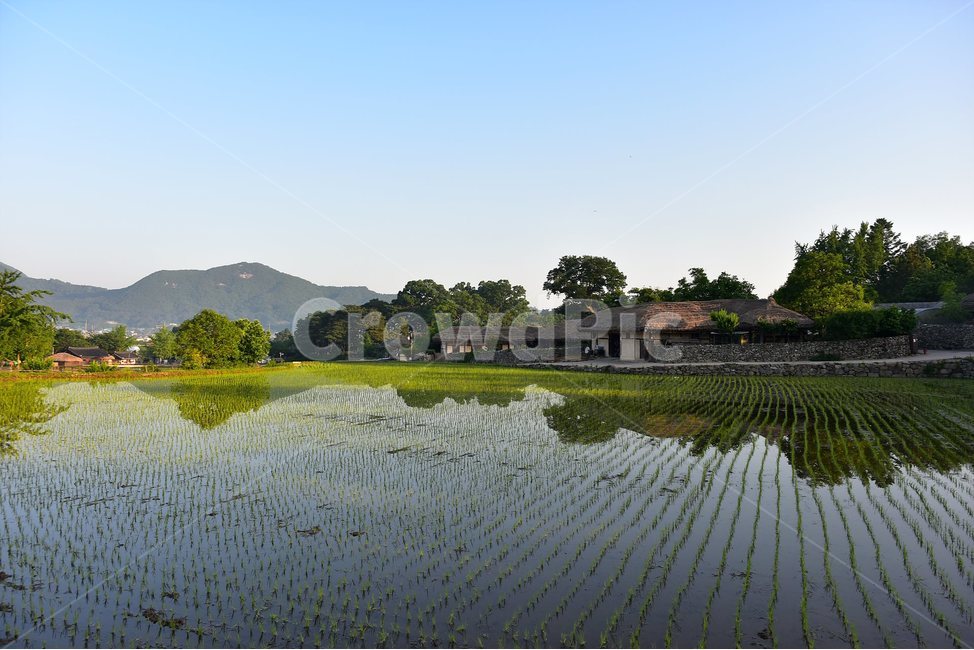 외암,민속,마을,풍경,힐링,논,햇살,landscape,시골,마을,풍경,landscape,country,rural,town,산업,industry,industrial,농업,농사,agriculture,farming,farming industry