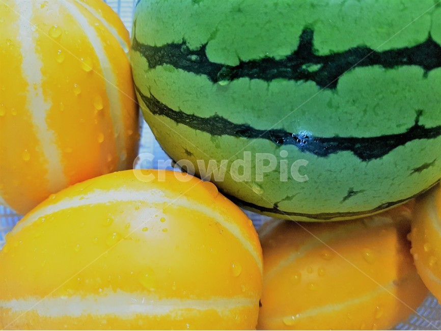 수박,참외,여름간식,여름후식,여름과일,노랑,초록,줄무늬,watermelon,orientalmelon,melon,summerfruit,여름,계절,summer,season,음식,식재료,요리,food,cook,meal,dishes,food reserves,채소,야채,vegetables,fruit,과일,멜론,plant,식물