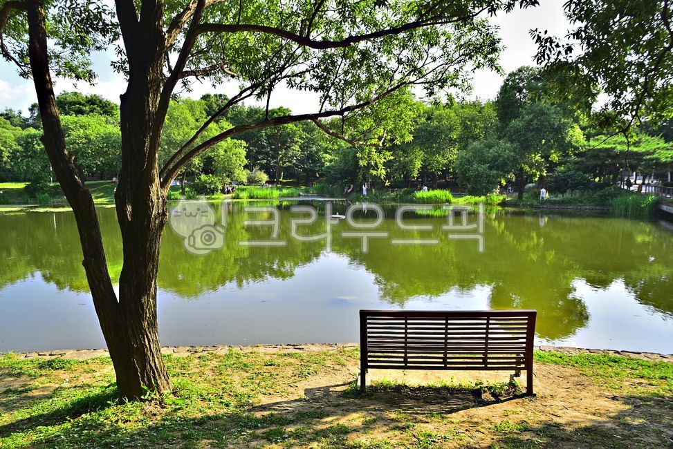 호숫가,서울숲,의자,평화롭다,한적하다,인적없슴,쾌적함,호수,lakeside,nature,green,water,벤치,furniture,가구,bench,outdoors,옥외,plant,식물,park,공원,자연,물,물그림자