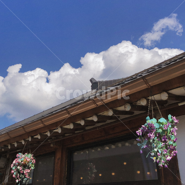옥외,outdoors,기와,한옥,구름,하늘,꽃,sky,cloud,flower,지붕,roof,건축물,건물외관,exterior,building,structure,architecture,construction