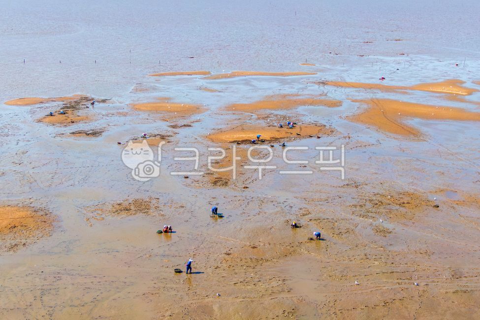 갯벌, 밀물, 썰물, 어업, 어민, 사진,이미지,일러스트,캘리그라피 - cstrike작가