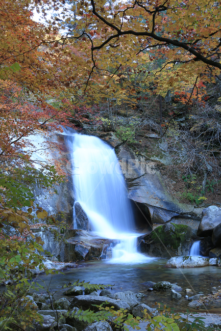 가을,산,폭포,방태산,fall,mountain,waterfall,장노출,가을,계절,fall,autumn,season,자연,풍경,nature,landscape,water,물,river,강,outdoors,옥외