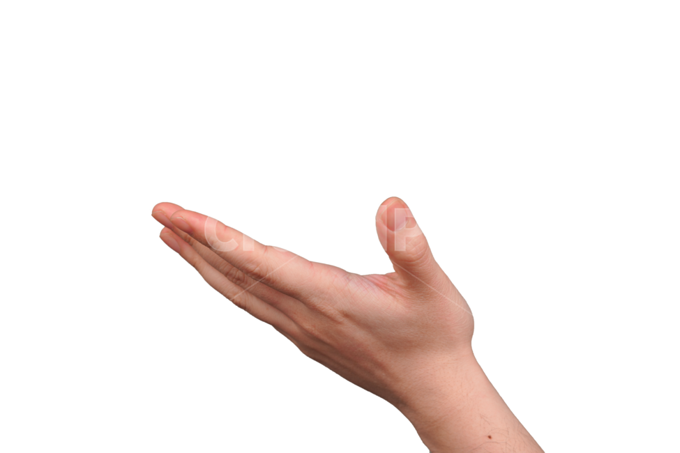 손,손가락,표현,사인,손동작,손모양,제스쳐,신체,신체일부,표시,사람,손목,hand,human,person,wrist,신체일부,몸,body