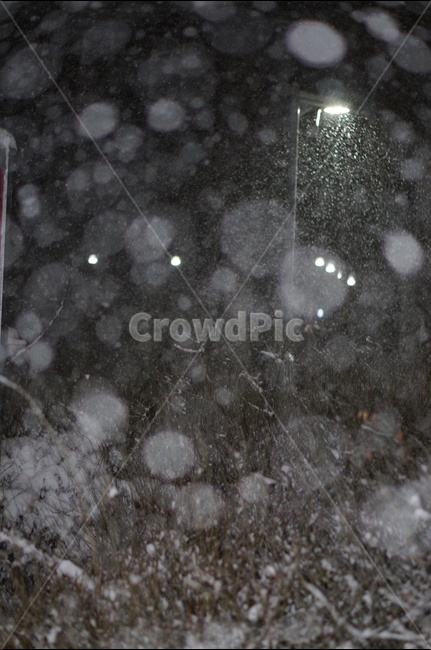 눈,야경,보케,밤,겨울,풍경,겨울,계절,winter,season,야경,밤,풍경,nightscape,night,landscape,nature,자연,storm,폭풍,snow,blizzard,눈보라,outdoors,옥외