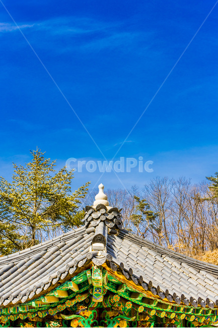 기와,종각,단청,추녀,문양,무늬,사찰,한국전통,한국문화,korean traditional,korean culture,건축물,건물외관,exterior,building,structure,architecture,construction