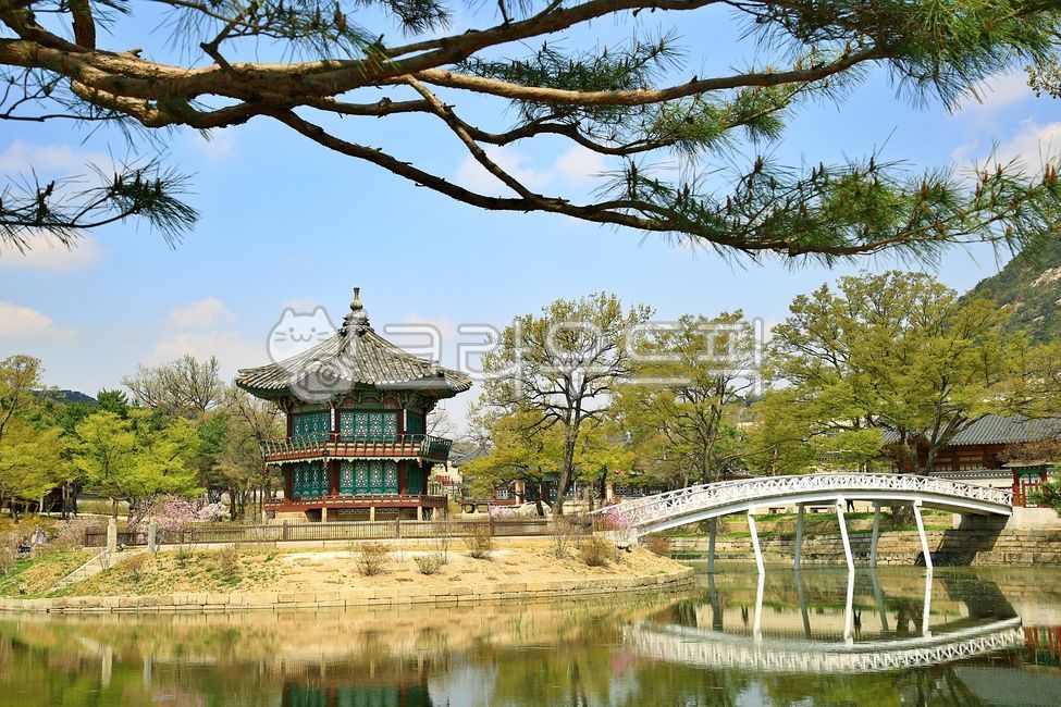 palace,pond,Treasure Festival 1761,historical relic,reflection,nature,Hyangwonjeong,water,Gyeongbokgung Palace,building,ruins and buildings,outdoors,cultural property,bridge,architecture
