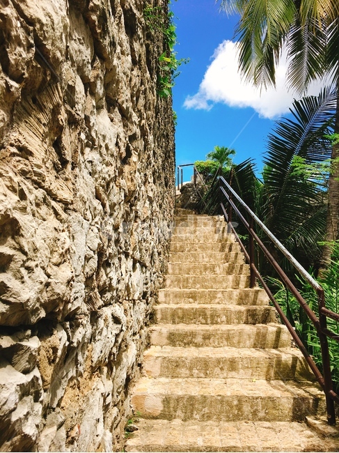 계단,요새,맑은하늘,야자수,하늘,자연,풍경,nature,landscape,handrail,난간,banister