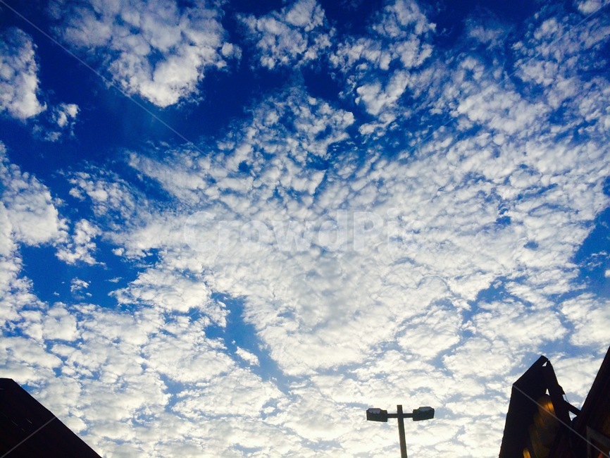 파란하늘,구름,맑은하늘,sky,cloud,높은하늘,자연,풍경,nature,landscape,outdoors,옥외