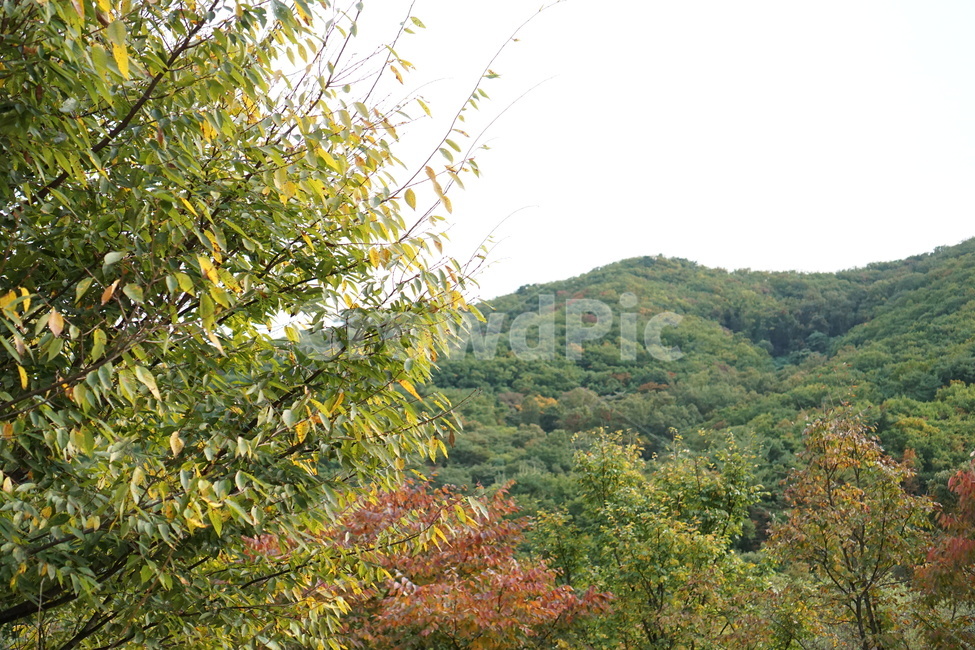 남한산성,풍경,초록색,자연,산,자연,풍경,nature,landscape,outdoors,옥외