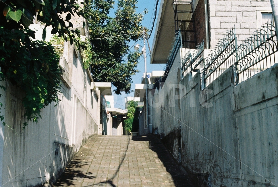 옛날,동네,대전,집,주택,대동,필름,필카,감성,도시,풍경,city,landscape,walkway,보도,path,통로,flagstone,판석,sidewalk,pavement,포장