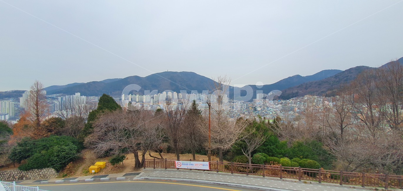 산,나무,풍경,경치,road