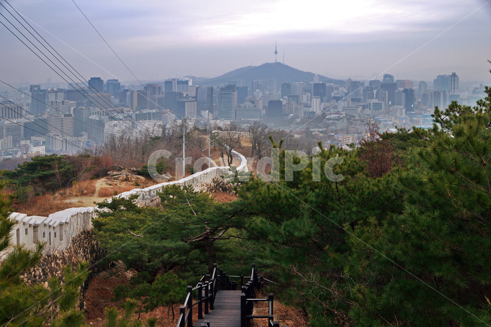 무악동,인왕산,산,서울성곽,종로구,서울도심,성곽