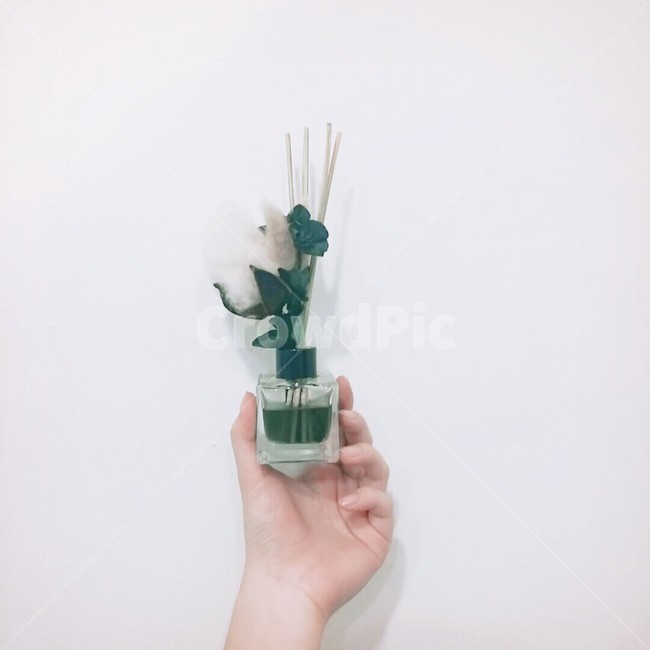 꽃,디퓨저,손,감성,초록,flower,hand