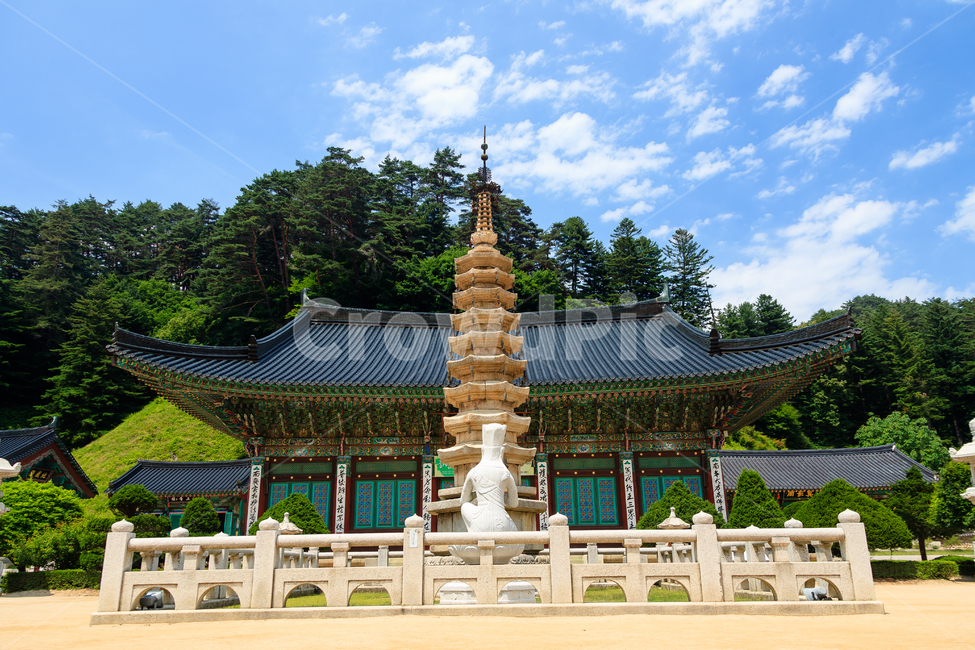 석탑,스님,불교,종교,아시아,문화,한국전통,한국문화,korean traditional,korean culture,조각상,동상,석상,조형물,statue,bronze statue,stone statue,종교,신앙,religion,belief,faith,건축물,건물외관,exterior,building,structure,architecture,construction