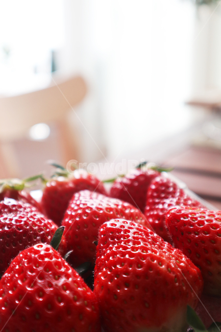 딸기,과일,strawberry,fruit,food,빨강,식물,씨앗,잎,음식,베리류,접사,클로즈업,제철과일,비타민,건강,다이어트,항산화제,건강한식생활,녹색,날것,달콤한음식,유기농,잘익은,열매,식재료,디저트,딸기철,쌍떡잎식물,간식,신선함,맛있는,봄,과일,열매,fruit