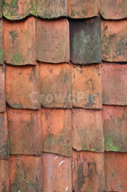 벽,가을,이끼,황토,wall,fall,텍스처,질감,패턴,texture,pattern