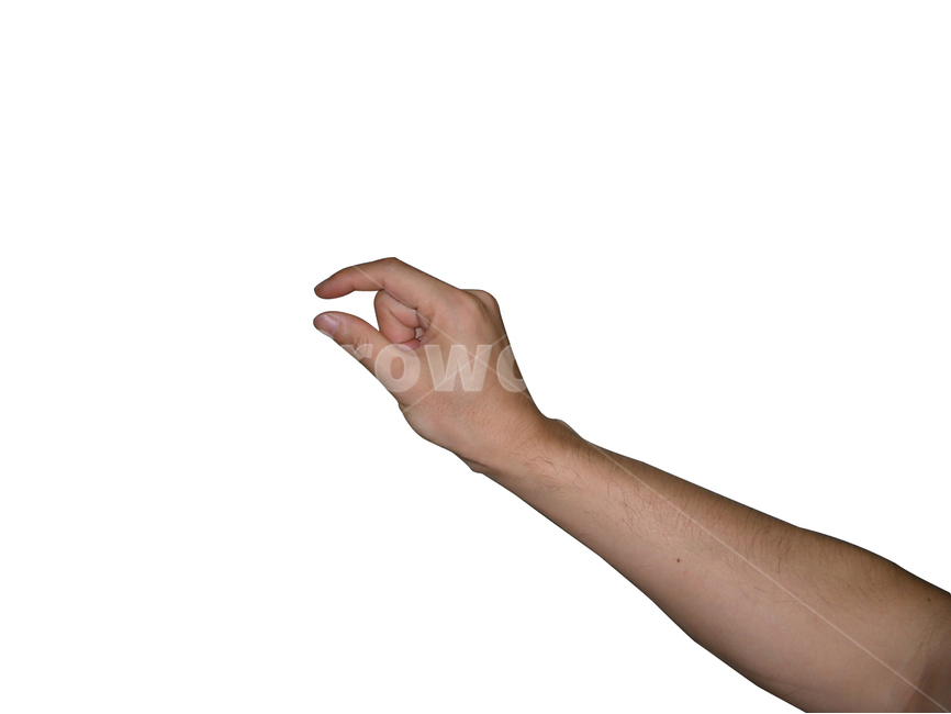 손,팔,손누끼,팔누끼,선택,hand,finger,workpath,path,사람,인물,인간,human,person,신체일부,몸,body,누끼,remove background