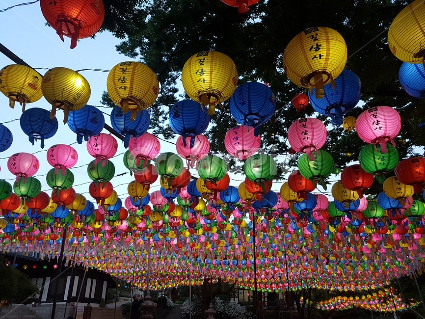 연등,초파일,석가탄신일,길상사,절,사찰,lotuslantern