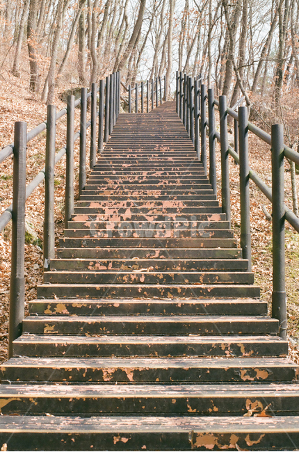 계단,산,숲,나무,stair,staircase,step,tree,trees,woods,mountain,난간
