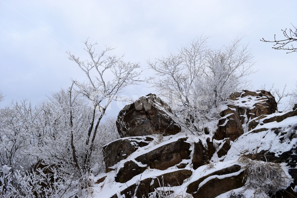 설경,풍경,대둔산,눈꽃,삼선계단,자연,nature,landscape,겨울,계절,winter,season,탐방,도립공원,힐링,감성,정취,산세,명산,100대명산,산,등산,트레킹,풍경사진,비경,경치,겨울사진,겨울색채,경관,기암,암봉우리,mountain,금산,완주,논산,마천대,케이블카,구름다리,fall,autumn,한국자연풍경,한국자연경관,korea,겨울,계절,winter,season,자연,풍경,nature,landscape,outdoors,옥외,snow,눈