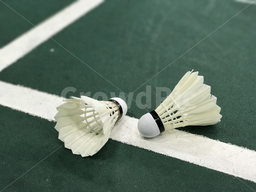 셔틀콕,배드민턴,배드민턴공,체육,스포츠,운동,Shuttlecock,스포츠,레저,운동,sports,leisure,exercise,사물,물건,오브젝트,thing,object,matter