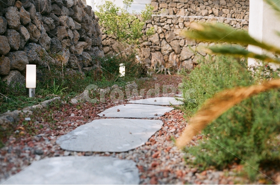 돌담,정원,자연,식물,길,필름사진,맑음,조명,인테리어,골목길,alley,flagstone,판석,wall,벽