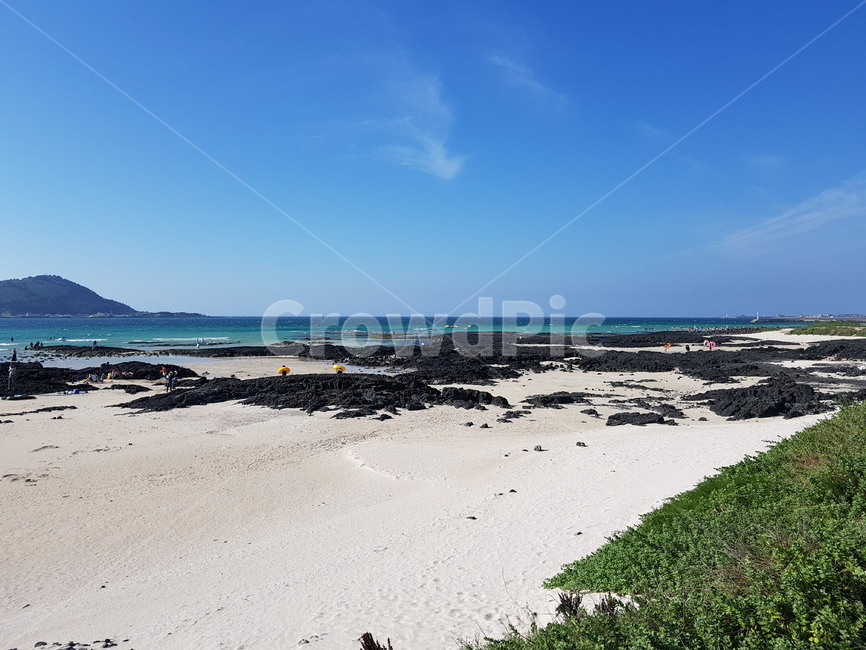 바다,여름,제주도,자연,풍경,해변,바다,beach,sea