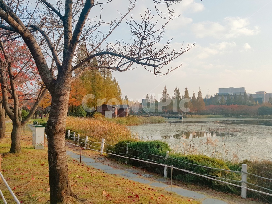 가을,단풍,공원,연못,배경화면,하늘,nature,자연,나무,식물,가을하늘,연지공원
