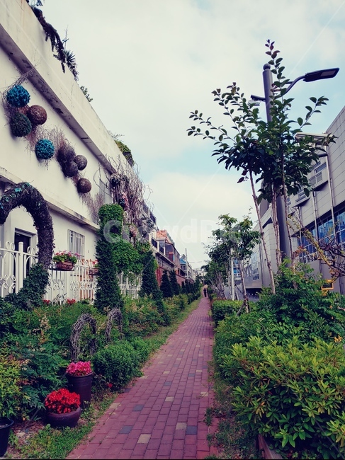 flagstone,정원,garden,산책,outdoors