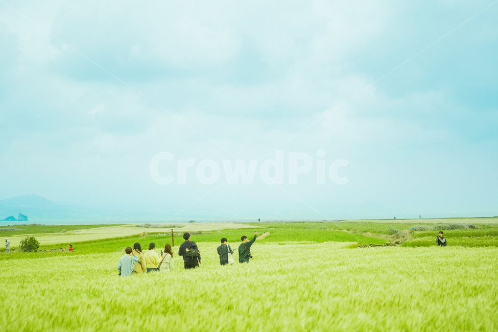 가파도,청보리,제주,섬,봄,풍경,서귀포,제주도,산방산,송악산,봄,계절,spring,season,사람들,대중,군중,other people,crowd,여행,휴가,traveling,vacation,trip,감성,sensible,feeling,grassland,목초지,field,들,outdoors,옥외,nature,자연,rural,농촌,farm,농장