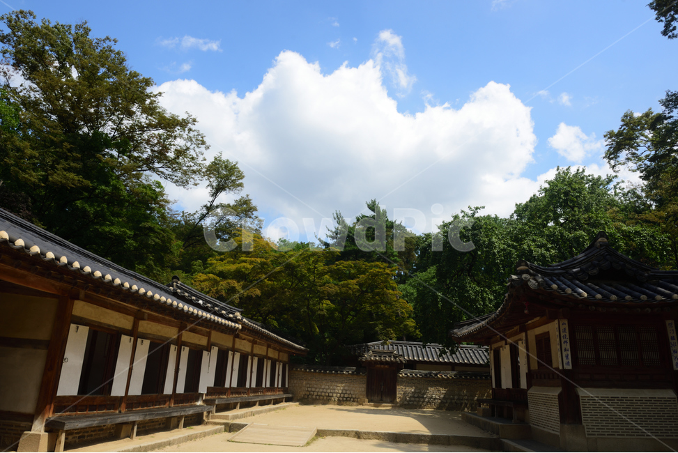 architecture,연경당,후원,양반집,한옥,고옥,왕실정원,사랑방,사랑채,창덕궁,궁궐,고궁,파란하늘,맑은하늘,기와집,담장,한옥담장,기와지붕,기와,한옥지붕,하얀구름,흰구름,맑은날,건축물,건물,building,창덕궁후원,창덕궁비원,왕실휴식처,내원,비원,금원,지붕,처마,양반가옥,가옥,목조가옥,목조집,전통가옥,마루,나무마루,창호,나무집,창공,청천,숲속,산림,수풀,나무,돌담,담,한국전통,한국문화,korean traditional,korean culture,건축물,건물외관,exterior,building,structure,architecture,construction