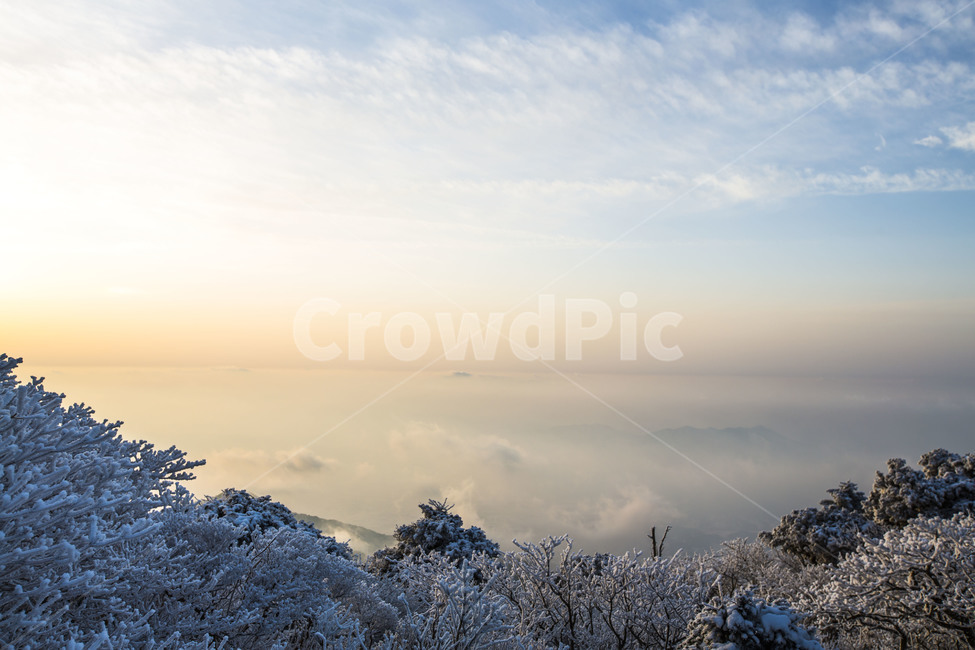 운해,상고대,얼음꽃,풍경,한국의미,겨울,계절,winter,season,자연,풍경,nature,landscape,outdoors,옥외,snow,눈,frost,서리