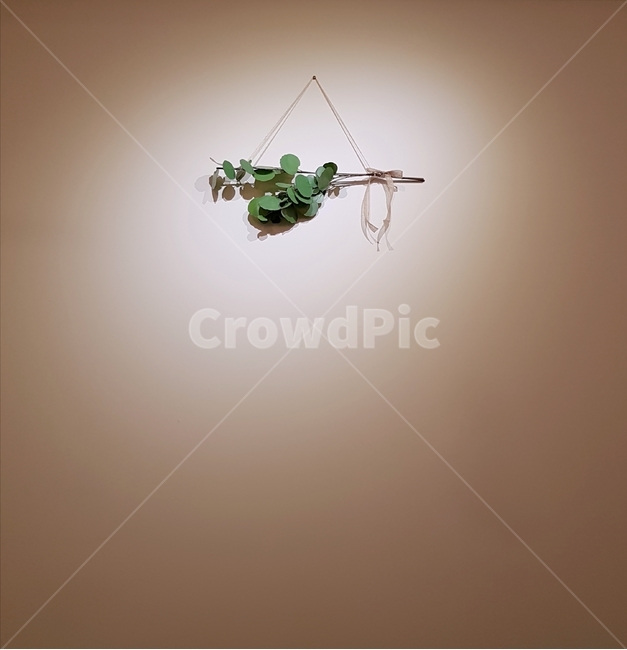 카페,심플함,배경화면,깔끔한,인테리어,인테리어,실내디자인,interior design